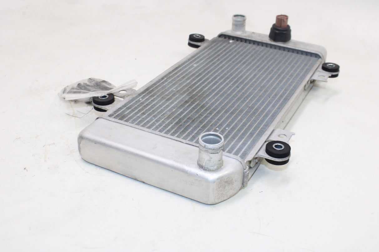 2009 Kawasaki Ninja 250R EX250J OEM ENGINE RADIATOR MOTOR COOLER COOLING