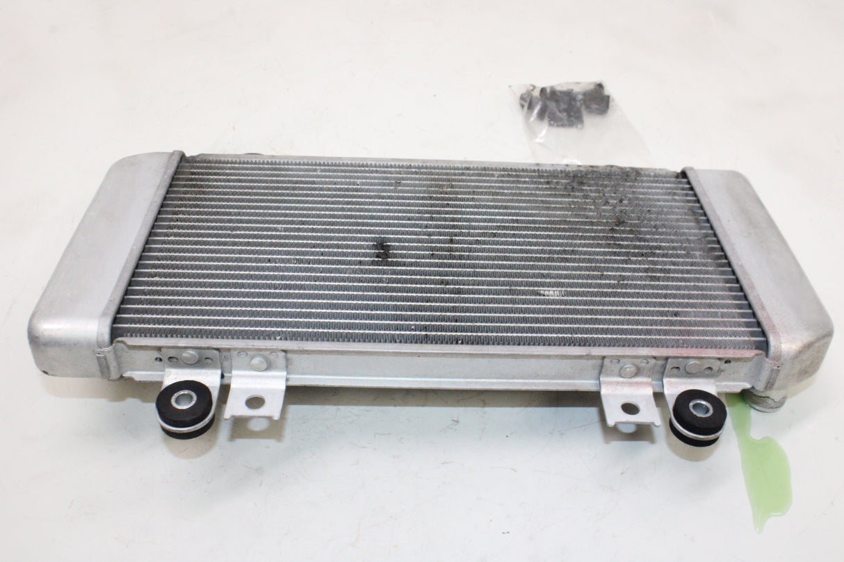 2009 Kawasaki Ninja 250R EX250J OEM ENGINE RADIATOR MOTOR COOLER COOLING