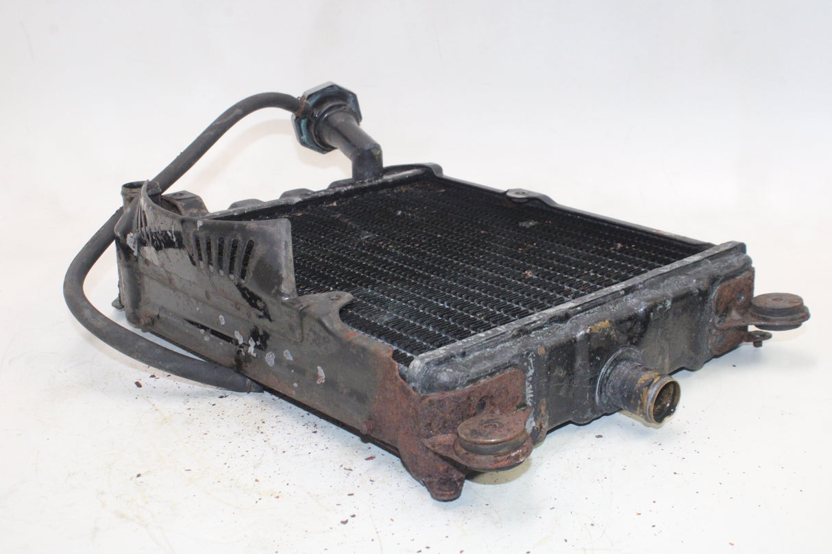 1981 Honda Goldwing 1100 GL1100 OEM ENGINE RADIATOR MOTOR COOLER COOLING W CAP