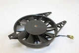 2000-2003 Triumph Tt600 Engine Radiator Cooling FAN OEM