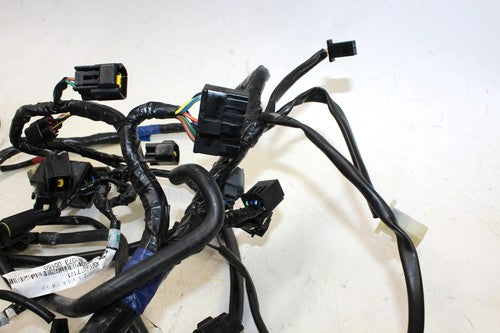 2009 Triumph Tiger Main Engine Wiring Harness Motor Wire Loom 6T2-820098 0012
