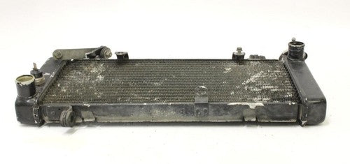 1995 Honda Cbr600f3 Engine Radiator Motor Cooler Cooling Radiater