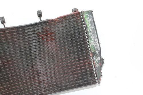 03-05 Honda Cbr600rr Engine Radiator Motor Cooler Cooling Radiater OEM