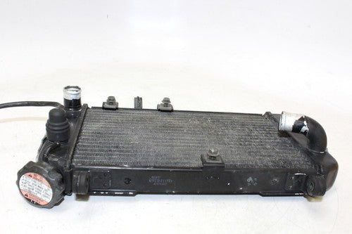2002 Suzuki Sv650 Engine Radiator Motor Cooler Cooling Radiater
