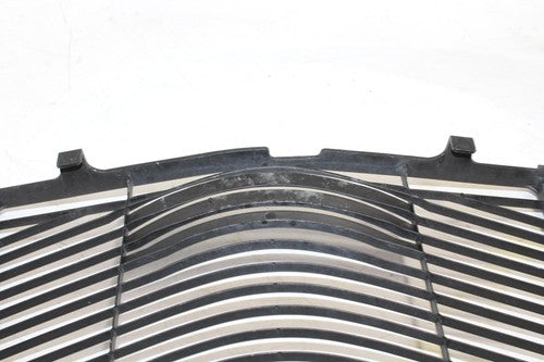 (06-10) 2007 YAMAHA FZ1 OIL COOLER GRILL GUARD OEM