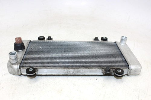 2009 Kawasaki Ninja 250r Ex250j Engine Radiator Motor Cooler Cooling Radiater