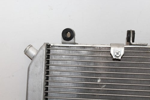 2007 Honda Silver Wing 600 Fsc600 Engine Radiator Motor Cooler Cooling Radiater