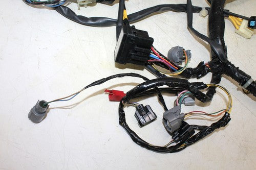 2007 Honda Silver Wing 600 Fsc600 Main Engine Wiring Harness Motor Wire Loom