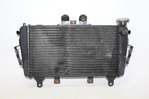 2009 Triumph Tiger Engine Radiator Motor Cooler Cooling Radiater