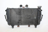 2009 Triumph Tiger Engine Radiator Motor Cooler Cooling Radiater