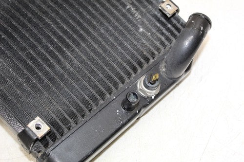 00 2000 Honda Cbr600f4 Engine Radiator Motor Cooler Cooling Radiater