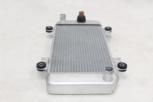 2008-12 Kawasaki Ninja 250r Ex250j Engine Radiator Motor Cooler Cooling OEM