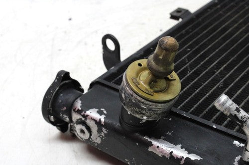 2001 Triumph TT600 ENGINE RADIATOR MOTOR COOLER COOLING