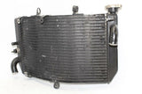1999-2000 Honda Cbr600f4 Engine Radiator Motor Cooler Cooling Radiater OEM