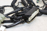 2013 Ducati Monster 796 Main Engine Wiring Harness Motor Wire Loom
