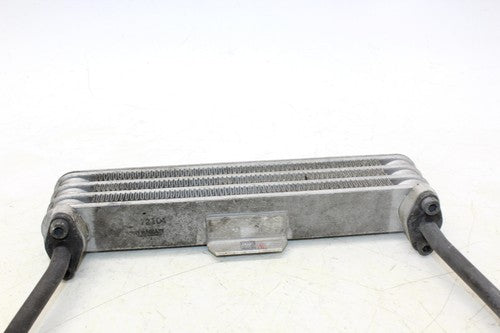 2004 Suzuki Gs500fh Engine Radiator Motor Cooler Cooling Radiater