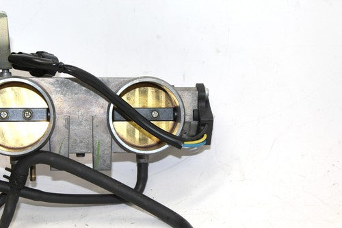 2009 Triumph Tiger Throttle Body Assembly