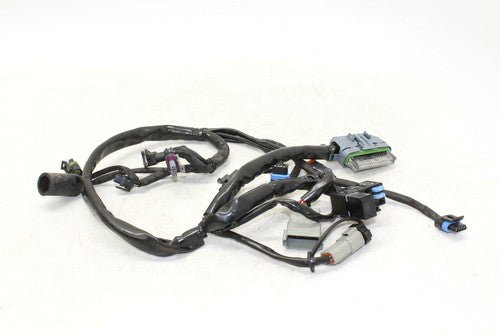 2007 Harley Davidson Electra Road Main EFI Fuel Injection Wiring Harness