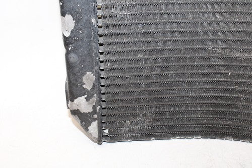 1996 Honda Cbr600f3 Engine Radiator Motor Cooler Cooling Radiater