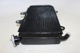 2015 Ktm 390 Rc Engine Radiator Motor Cooler Cooling Radiater