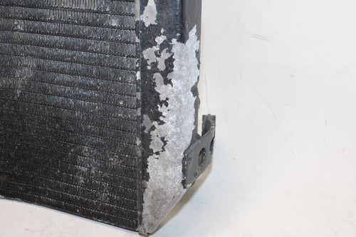 1996 Honda Cbr600f3 Engine Radiator Motor Cooler Cooling Radiater