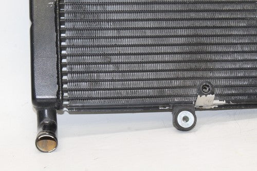 2002 Yamaha Yzf600r Engine Radiator Motor Cooler Cooling Radiater OEM