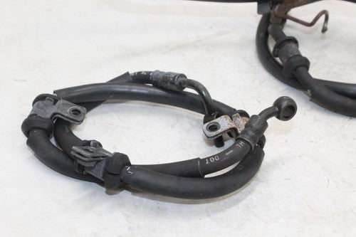 1999 Honda Shadow Ace 1100 Vt1100t Tour Front Rear Brake Caliper Hoses Lines OEM