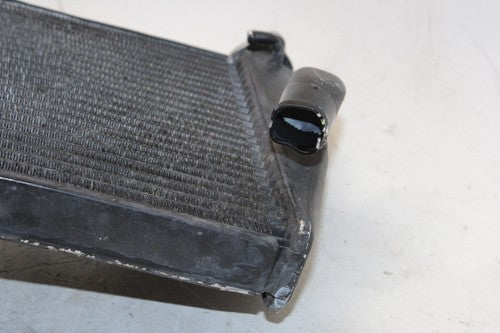 2004 Honda Cbr600rr Engine Radiator Motor Cooler Cooling Radiater