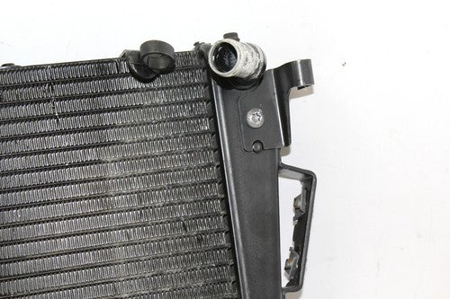 2009 Triumph Tiger Engine Radiator Motor Cooler Cooling Radiater