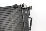 2009 Triumph Tiger Engine Radiator Motor Cooler Cooling Radiater