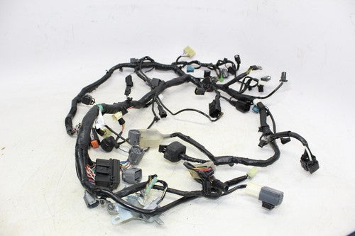 2013 Kawasaki Ninja 300 Ex300b Main Wiring Harness Cable