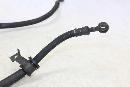 1999 Honda Cbr600f4 Brake Caliper Hoses Lines Set