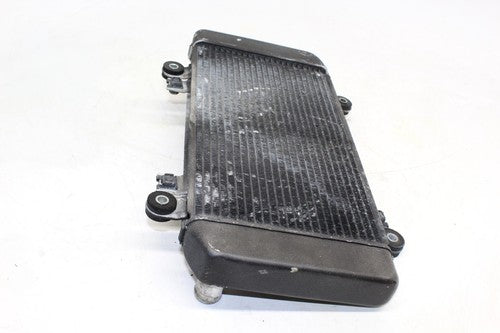 08-12 Kawasaki Ninja 250r Ex250j Engine Radiator Motor Cooler Cooling Radiater