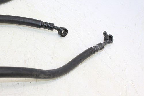 2019 Kawasaki Z900 Brake Caliper Hoses Lines