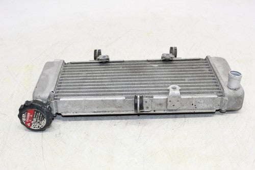 2015 Honda Cb300f Engine Radiator Motor Cooler Cooling Radiater