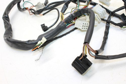 1999 Bmw F650 Main Engine Wiring Harness Motor Wire Loom