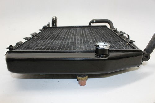 2002-2005 Kawasaki Ninja Zx12r Engine Radiator MOTOR Cooler Cooling Radiater OEM