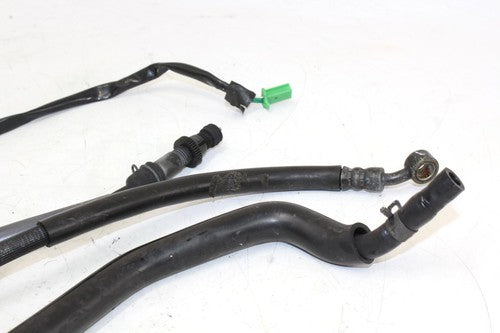 2005 Honda Cbr600rr Rear Back Brake Hose Fluid Line W/Reservoir W/Sensor