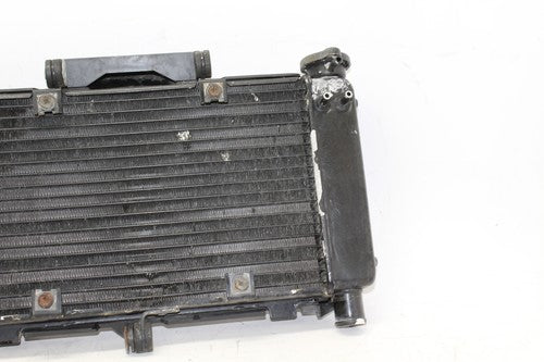 04-09 Yamaha Fz6 Engine Radiator Motor Cooler Cooling Radiater OEM
