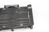 04-09 Yamaha Fz6 Engine Radiator Motor Cooler Cooling Radiater OEM