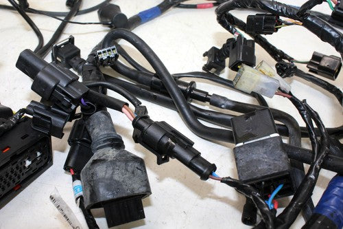 2009 Triumph Tiger Main Engine Wiring Harness Motor Wire Loom 6T2-820098 0012