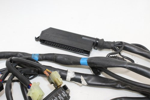 2000 Cagiva Gran Canyon 900 Main Engine Wiring Harness Motor Wire Loom OEM