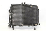 03-04 Yamaha R6 Engine Radiator Motor Cooler Cooling Radiater OEM
