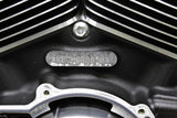 2017 Harley-davidson Street Glide Flhx Engine Motor