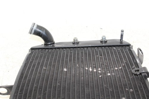 11-13 Yamaha Fz8 Engine Radiator Motor Cooler Cooling Radiater OEM