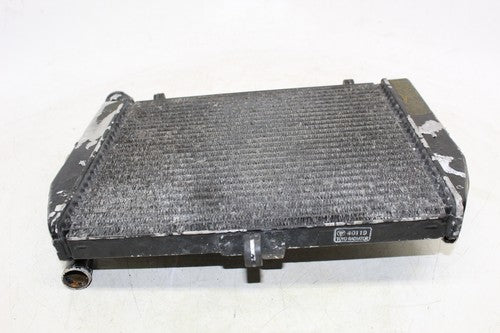 2002 Yamaha Yzf R6 Engine Radiator Motor Cooler Cooling Radiater