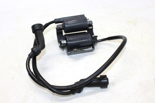 2005 Yamaha Virago 250 Xv250 Ignition Coils