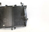03-05 Yamaha Yzf R6 Engine Radiator Motor Cooler Cooling Radiater OEM