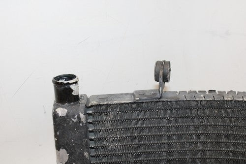 1996 Honda Cbr600f3 Engine Radiator Motor Cooler Cooling Radiater