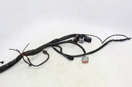 2001 Harley-davidson Electra Glide Classic Efi Flhtci Main Engine Wiring Harness